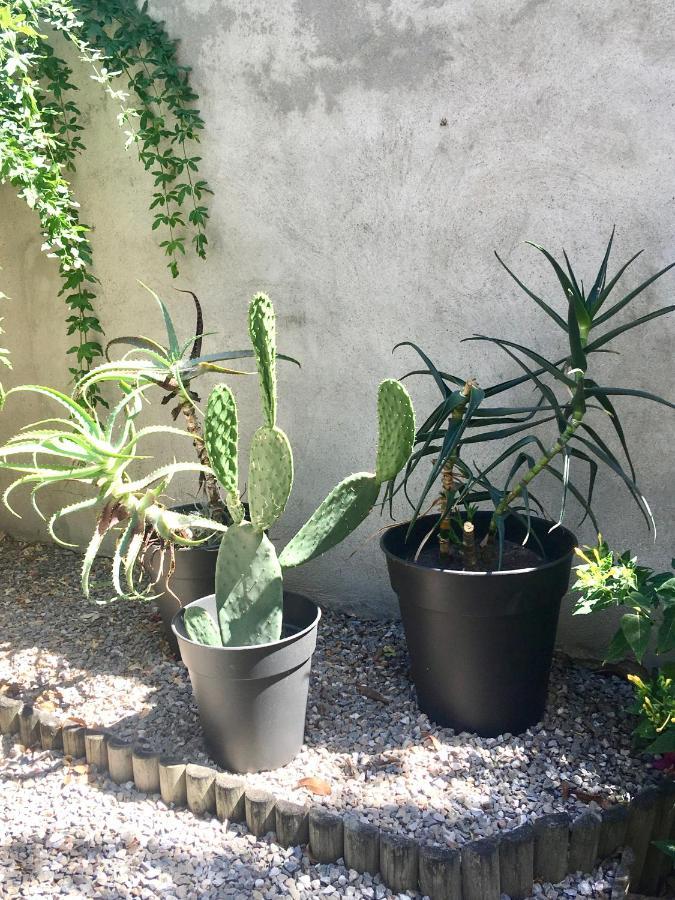 Dans Une Maison, Appartement Independant Et Jardin Perpignan Eksteriør bilde